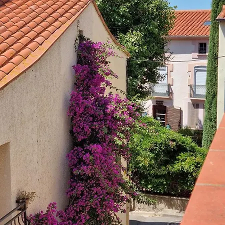 Maison De Village Casa Del Puig * Laroque-des-Albères
