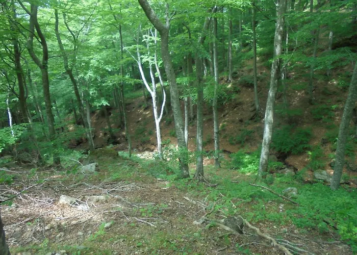 Maison De Village Casa Del Puig Casa de Férias Laroque-des-Albères